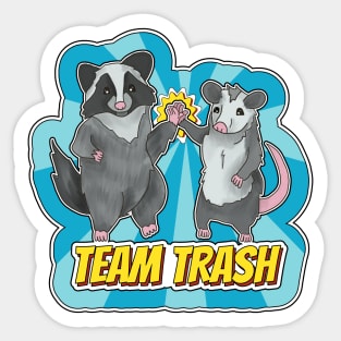 Team Trash - Opossum and Raccoon Duo Sticker